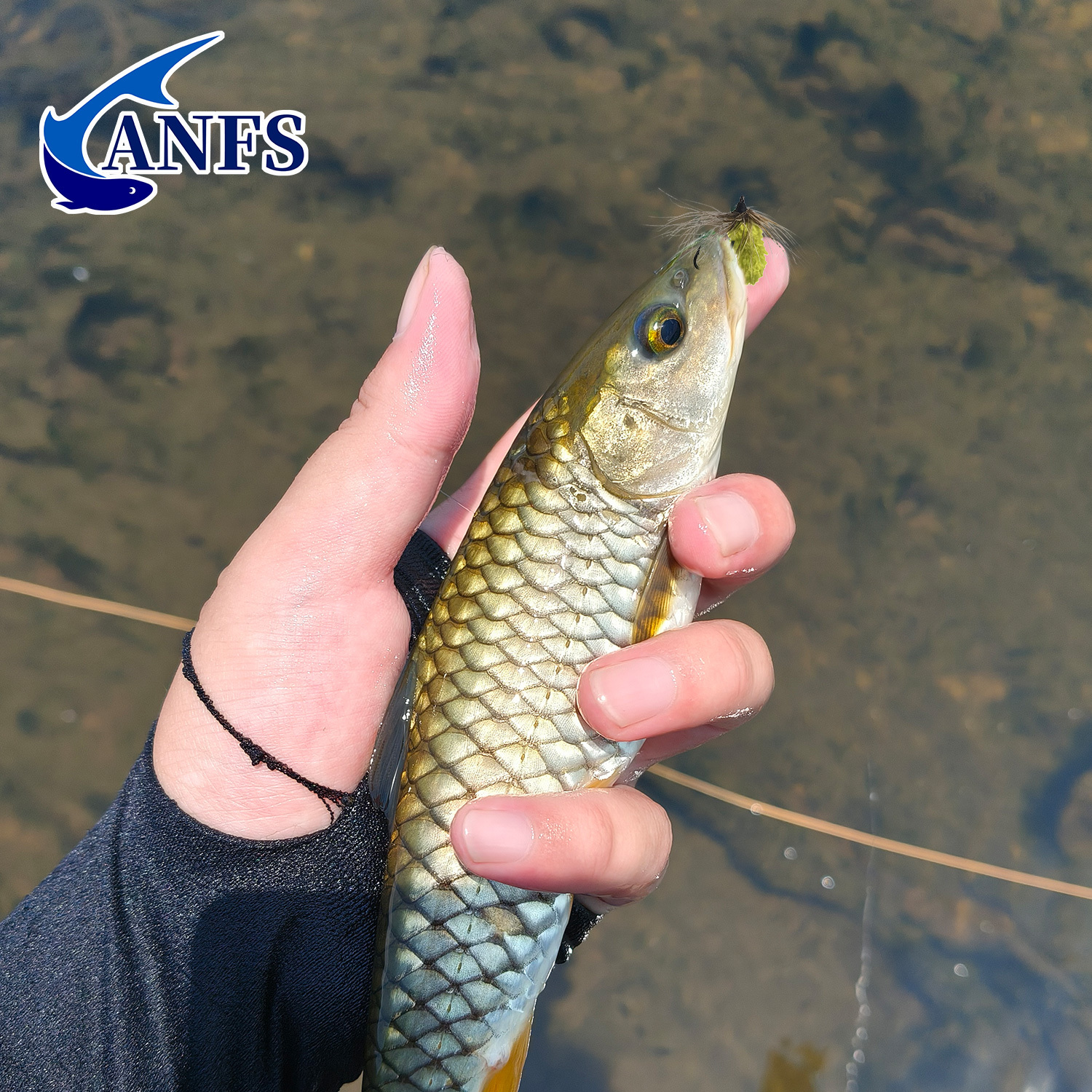 ANFS 10 adet Mop Fly Karışık R - Fishing Hook Assortment incelemesi ve fiyatı